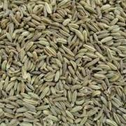 Fennel Seeds