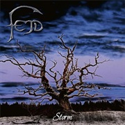 Fejd - Storm