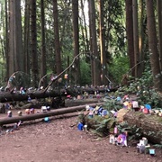 Faerie Village of Redwood Park, Surrey, British Columbia