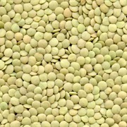 Richlea Lentil