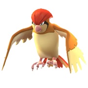 Pidgeotto