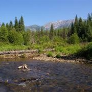 Mount Fernie Provincial Park