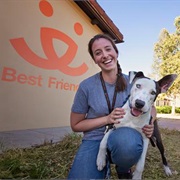 Best Friends Animal Sanctuary, USA