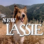 The New Lassie