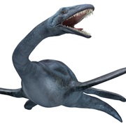 Elasmosaurus