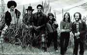 Little Feat
