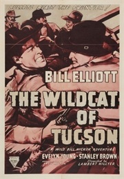 The Wildcat of Tucson (1940)