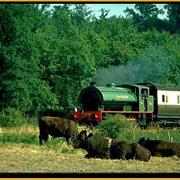 Kent and East Sussex Railway