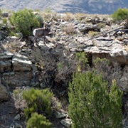 San Andres National Wildlife Refuge