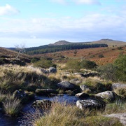 Dartmoor National Park