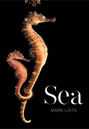 Sea (Mark Laita)