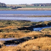 Stour Estuary