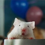 White Mouse 1