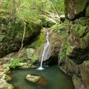 Amamoor National Park (QLD)