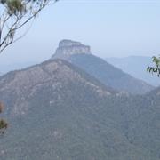 Mount Nothofagus National Park (NSW)