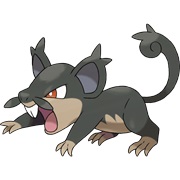 Alolan Rattata