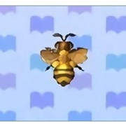 Honeybee
