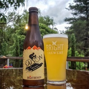 Bright Beer