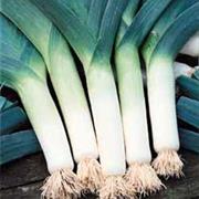 Bleu De Solaise Leek