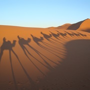 Moiynkum Dunes, Kazakhstan