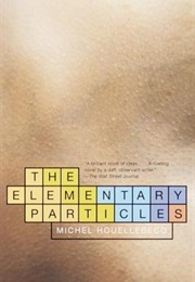 The Elementary Particles (Michel Houellebecq)