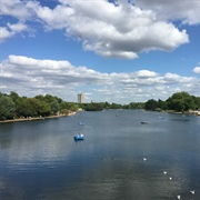 Row Along the Serpentine