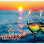 Florida Orange Groves and Winery