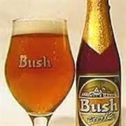 Bush Pale Ale