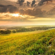 Tall Grass Prarie KS