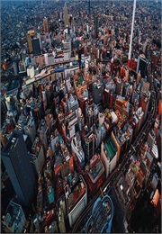 1.7 Billion Dollar Fraud: Full Exposure (2015)