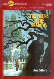 The Figure in the Shadows (John Bellairs)