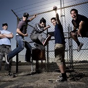 Zebrahead