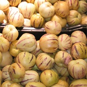 Pepino Melon (Solanum Muricatum)