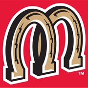 Billings Mustangs (R)