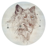 1859 – Sobrenadar (2012)