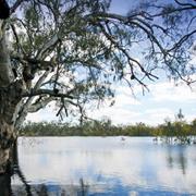 Hattah Kulkyne National Park (VIC)