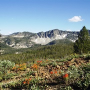 Boise National Forest