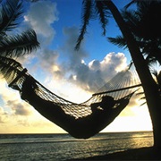 Hammocks