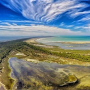 Divjaka-Karavasta National Park, Albania