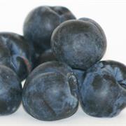 Illawarra Plum