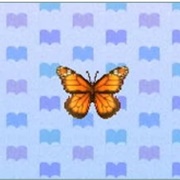 Monarch Butterfly