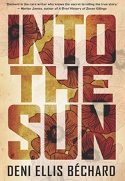 Into the Sun (Deni Ellis Béchard)
