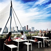Summertime Terraces, Rotterdam
