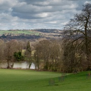 Reigate Hill and Gatton Park (NT)