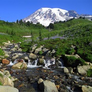 Mount Rainier National Park, WA