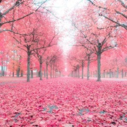 Drottningholm, Sweden