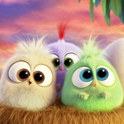Baby Birds