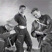 I Shot an Arrow Into the Air