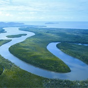 Daintree River, Australia