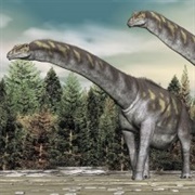 Argentinosaurus